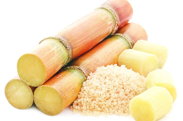 188 milliards FCFA d’investissements prévus dans l’industrie sucrière ivoirienne